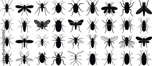 Tableau sur toile Insect silhouettes collection beetles flies butterflies ants diverse species mor