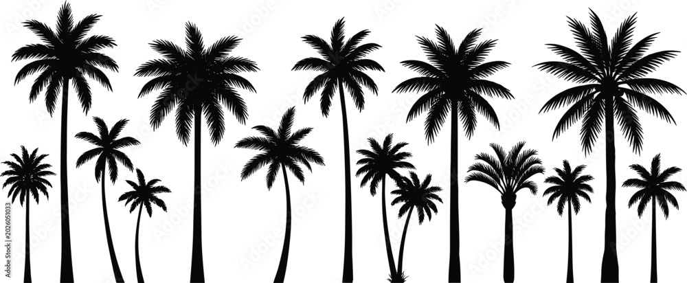 Fototapeta premium Black silhouettes of palm trees on white background, tropical