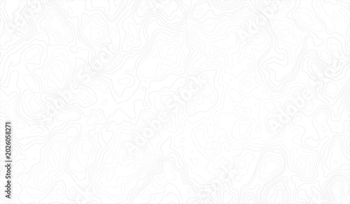 Foto Gray Abstract Seamless Topographic map and landscape terrain texture grid, Abstract lines background