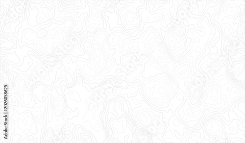 Schilderij op canvas Gray Abstract Seamless Topographic map and landscape terrain texture grid, Abstract lines background