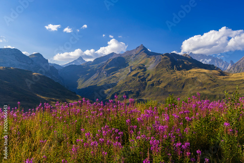 Landscape near Col du Petit-Saint-Bernard with Mont Blanc, on border France and Italy
