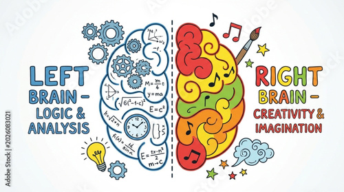 Left Brain Logic and Right Brain Creativity Illustration.