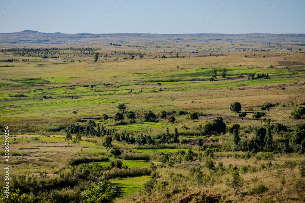 Obraz premium Rural landscape with agricultural fields and scattered trees in the Ihorombe region