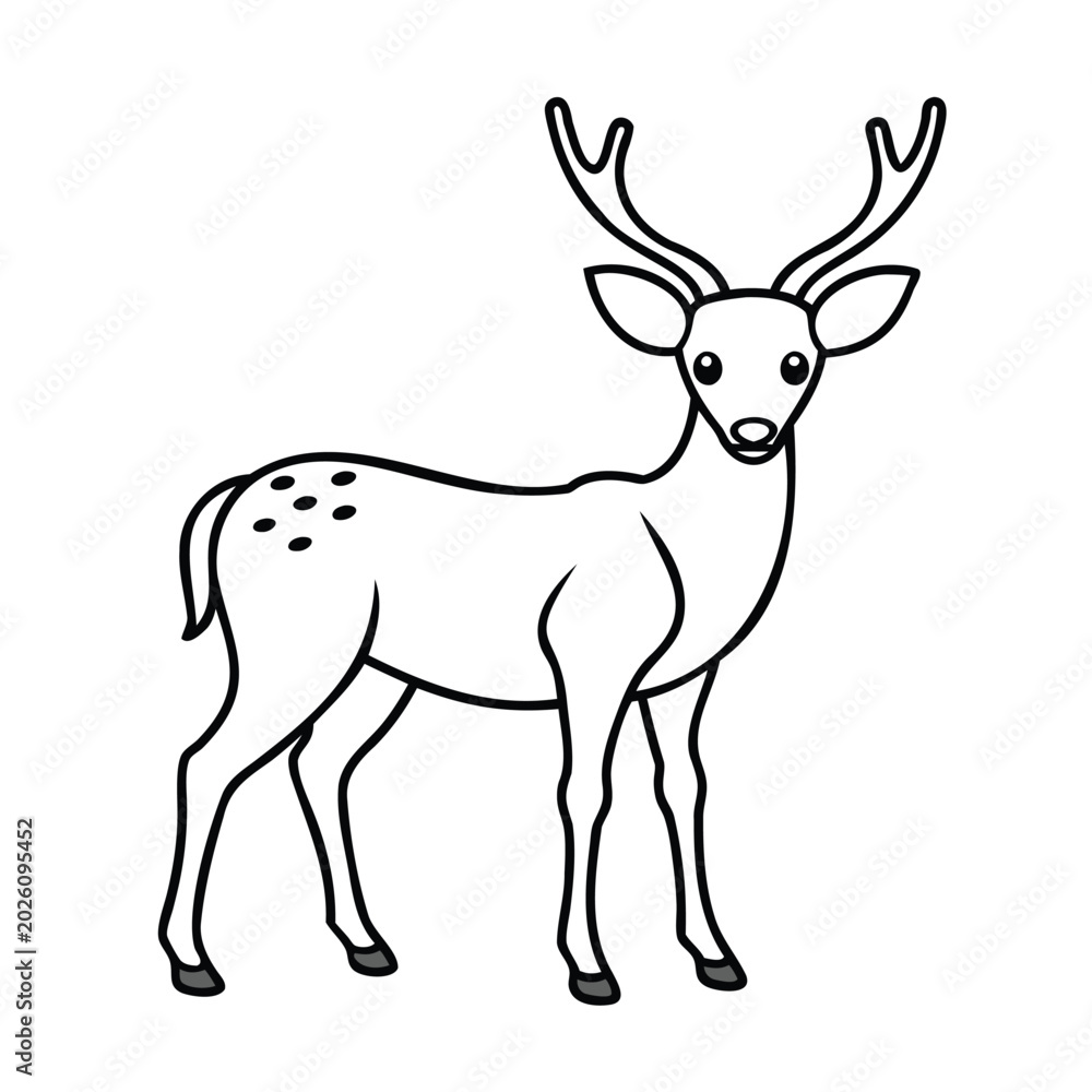 Fototapeta premium Young deer standing with big antlers