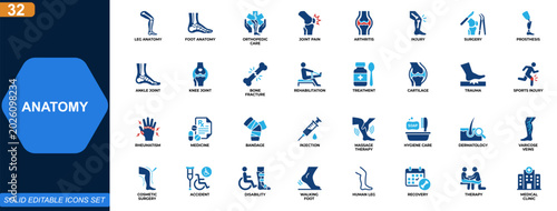 Foto Leg and foot anatomy icon set