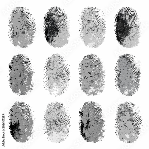 Cuadro en lienzo fingerprint collection on white background forensic evidence patterns