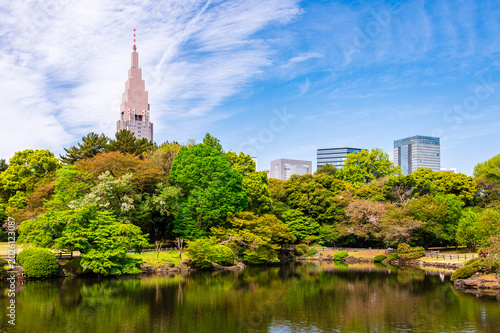 Photos Scenery of Shinjuku Gyoen with cherry blossom in Tokyo city, Japan