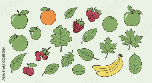 Fresh Fruit and Green Leaves Illustration.