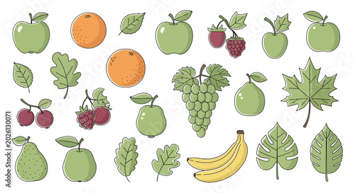 Variety of Fresh Fruit and Leaves.