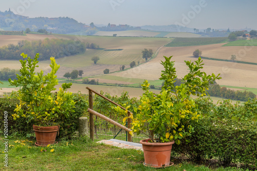Fotografija Castello di Razzano castle, Piedmont, Italy