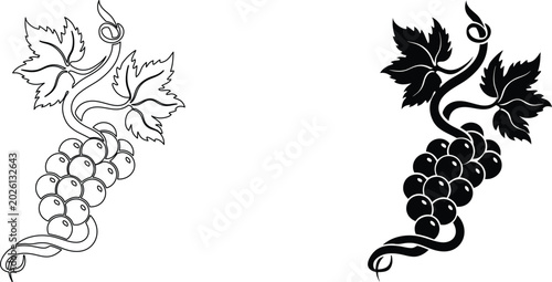 Black and white outline and silhouette of grape vine with leaves and fruit cluster.