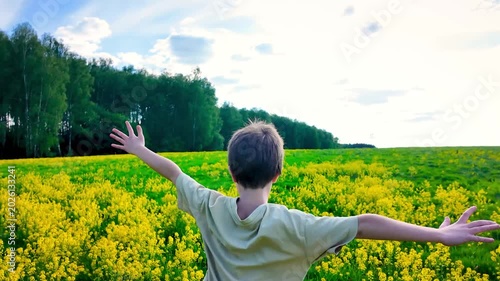 Slow motion rear view of boy running through yellow rapeseed field with open arms under blue summer sky