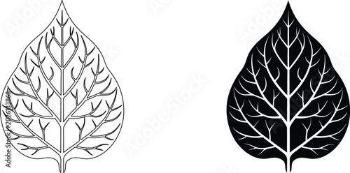 Detailed bodhi tree leaf, sacred fig plant, intricate vein structure vector illustration.
