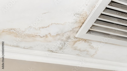 Water Damage And Mold Growing On Ceiling Near Air Vent In Apartment