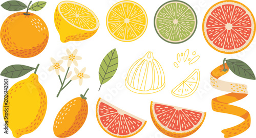 Schilderij op canvas Citrus Fruit Vector Illustration Set with Lemon Orange Lime Grapefruit Slices Bl