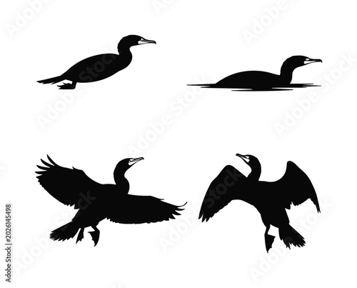 Billede på lærred Cormorant silhouette vector set featuring wild aquatic birds flying, swimming, a