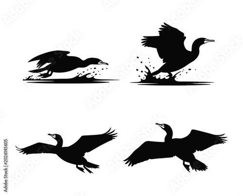 Billede på lærred Cormorant silhouette vector set featuring wild aquatic birds flying, swimming, a