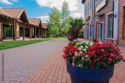 Фотография Large flowerpot with colorful blooming begonias on a pedestrian brick walkway li