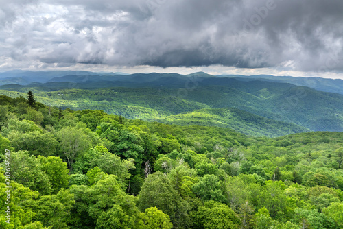Foto Smokey mountains summer woods