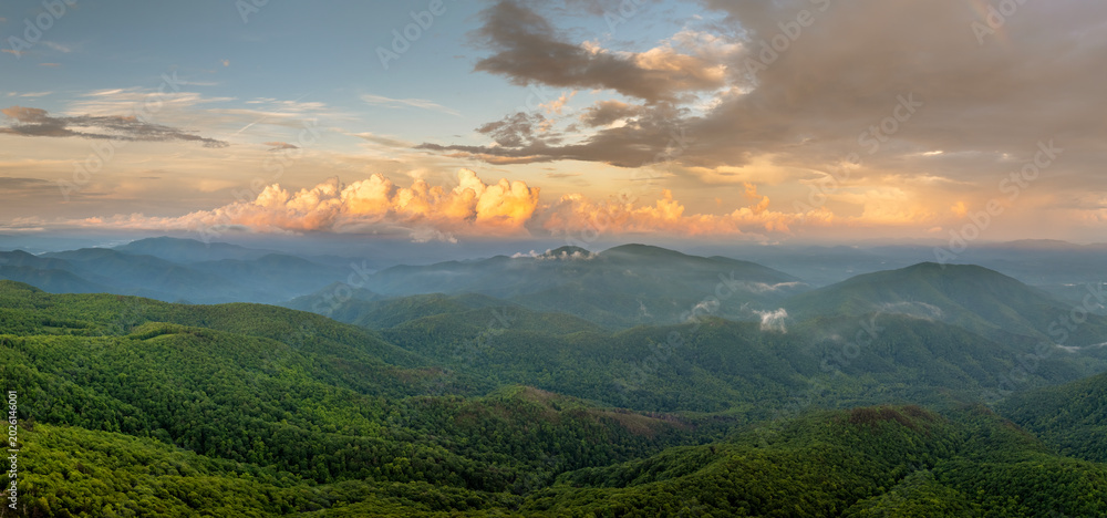Fototapeta premium Nature landscape of Tennessee Appalachian mountains at sunrise. Mountain forest with green canopies in summer season