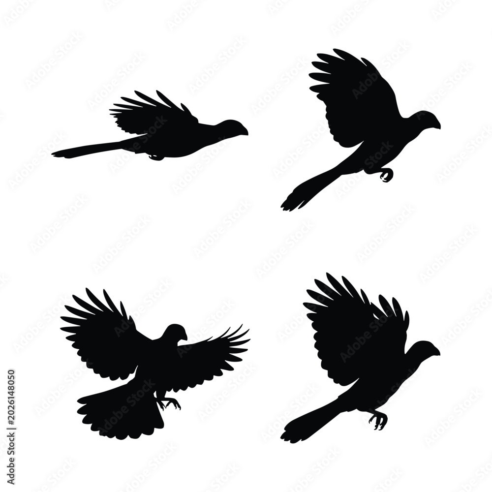 Obraz premium Black cuckoo flying silhouette collection, isolated sleek bird flight posture shapes, vector graphic asset