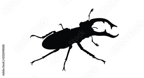 Photos stag beetle silhouette against a white background insect illustration