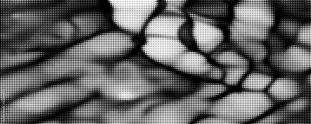 Fototapeta premium The halftone texture is monochrome. A wave of dots. Abstract black and white texture. Ink dots randomly placed on a white background. Pop art texture for printing on wrapping paper, business cards