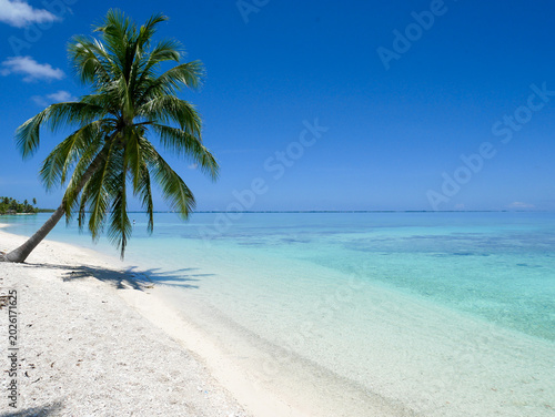 Tableau sur toile French Polynesia