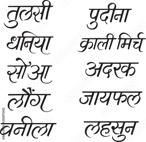 Bild auf Leinwand Words of spice names in Hindi, Devanagari calligraphy