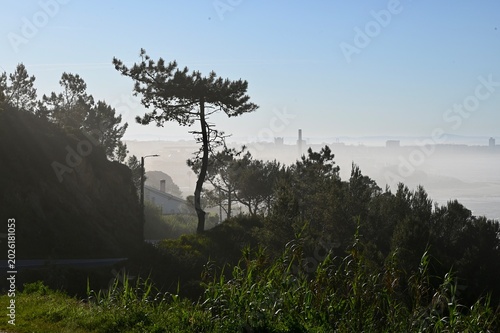 Bild auf Leinwand Misty landscape view with lone tree and distant buildings, showcasing a serene n