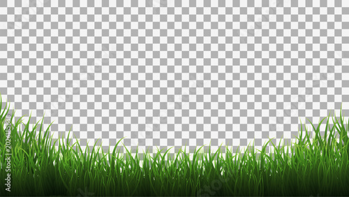 Bild auf Leinwand Fresh green grass lawn on a Transparent Background, creating a vibrant spring nature pattern for summer garden and environmental design