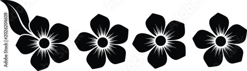 Black white floral silhouette decorative flower pattern starburst petal design symmetrical botanical motif ornamental art flat vector illustration