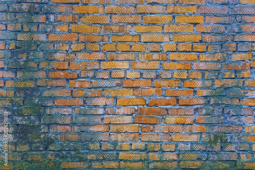 Fotografie Moss and algae dispersing across ancient bricks creating grunge and nature recla
