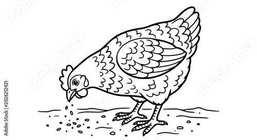Foto Chicken pecking seeds line art coloring page vector illustration
