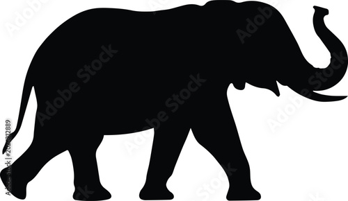 Fotografie elephant silhouette mammal walking tusk side view wildlife black art