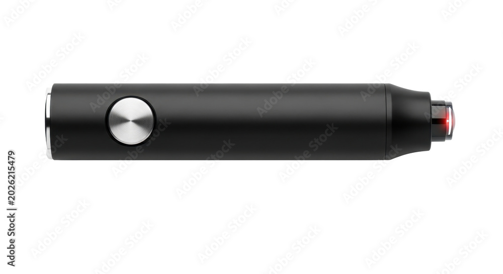 Fototapeta premium Modern black stylus pen with silver button