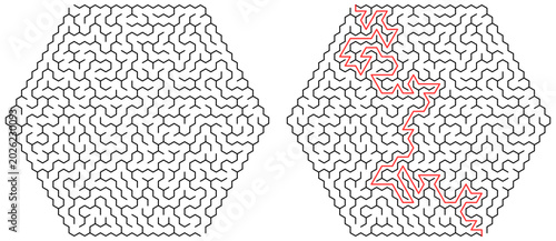 Schilderij op canvas Hexagonal Maze Puzzle with Solution Path Illustration