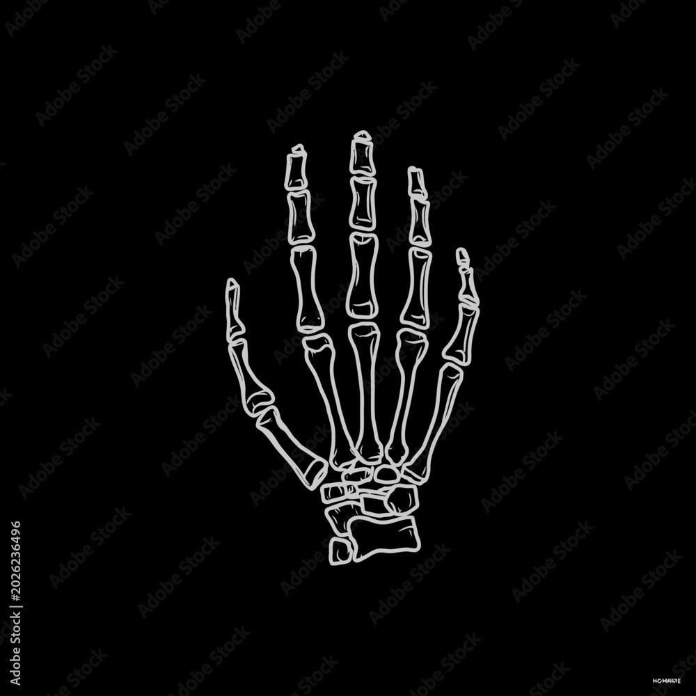 Fototapeta premium White skeleton hand illustration on black background