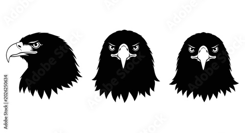 Three black eagle bird heads side.