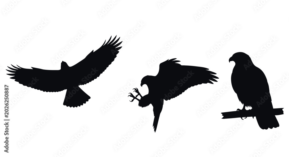 Fototapeta premium Three Black Silhouette Birds Flying.