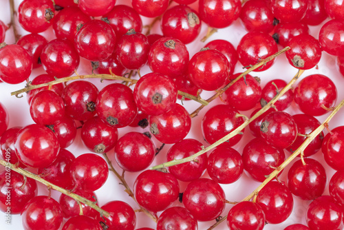 фотографія Clustered red currants presented vividly against pure white backdrop