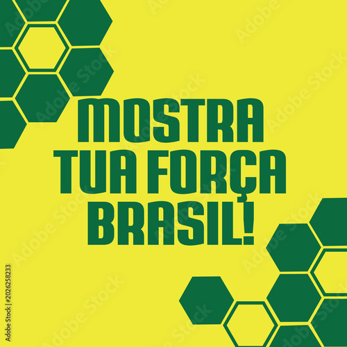 BRASIL RUMO AO HEXA PLAQUINHAS