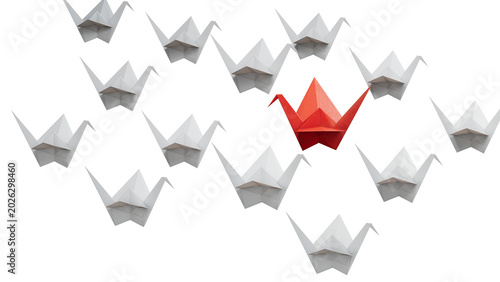 Obraz na płótnie Differentiation concept with paper swans