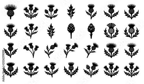 Fotografie Thistle flower silhouette icon set vector isolated on white background
