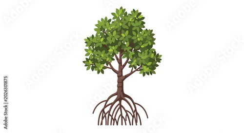 Tropical Mangrove Tree with Detailed Aerial Roots and Lush Green Leaves Illustration Isolated on White Background