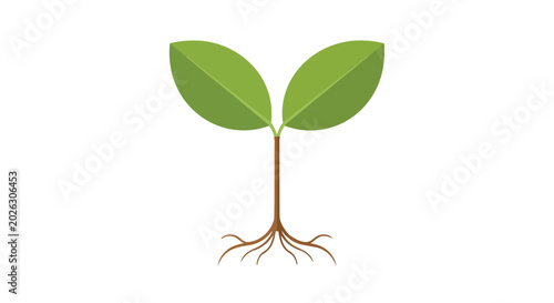 Small green seedling growing with visible roots illustration isolated on white background