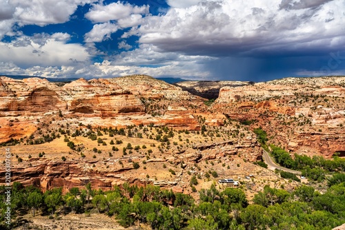 Escalante River winds through canyon at Boynton Overlook in Grand Staircase-Escalante, Utah. Green vegetation contrasts with white Navajo Sandstone cliffs