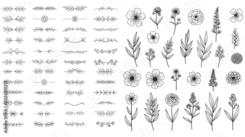 Hand Drawn Floral Dividers and Botanical Flower Element Vector Set