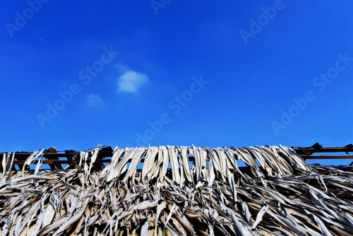 The thatched coconut leaf roof with a structure made of bamboo