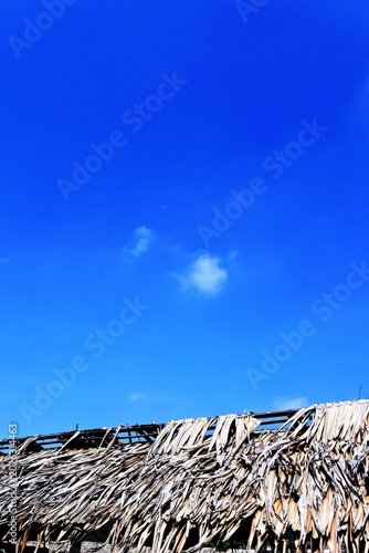 The thatched coconut leaf roof with a structure made of bamboo